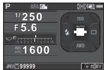 PENTAX KS-2+18-50mm+FT+860 - Correction il - 3