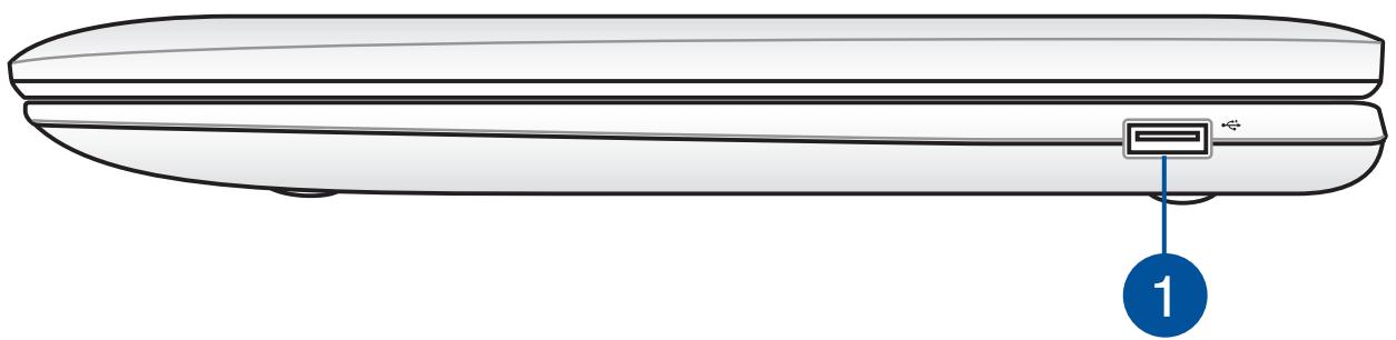 ASUS 1100 AF-BING-DK034B - Côté droit - 1