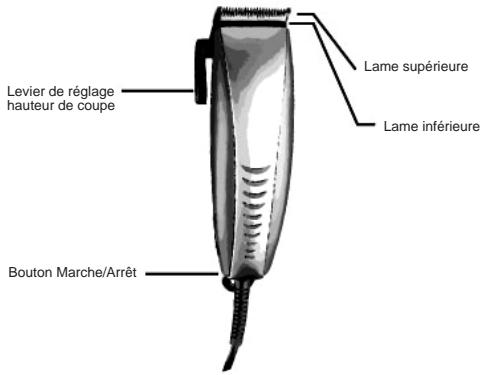 OKOIA MGS 5 TONDEUSE - ACCESSIONS - 1