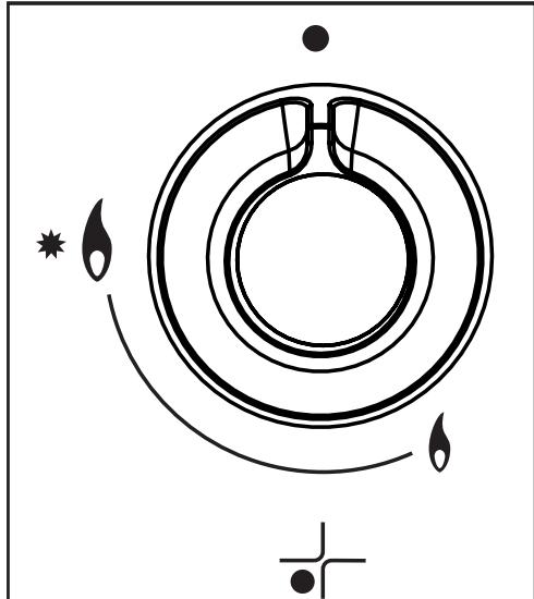 SAUTER STE119X - Attention - 1