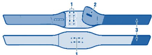 SPORT ELEC BODY BEAUTIFUL - PRÉSENTATION DE LA CEINTURE : - 1