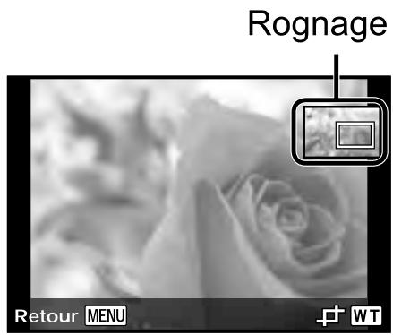 OLYMPUS TG-3 - Changer la taille de la photo ▶ [√] - 4