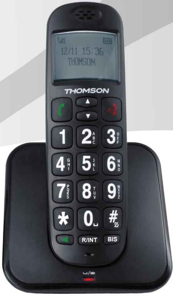 THOMSON CONECTO 300 BLK - Manuel d'utilisation - 2