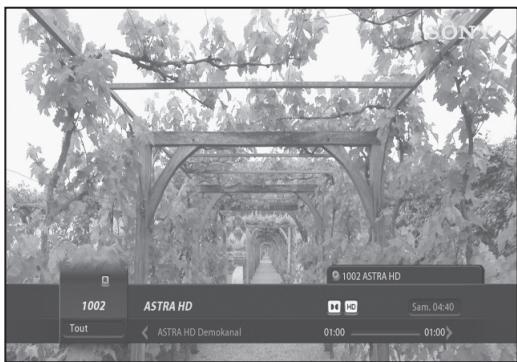 VISIOSAT TNT 5050 TNTSAT - Enregistrement à une touche - 3