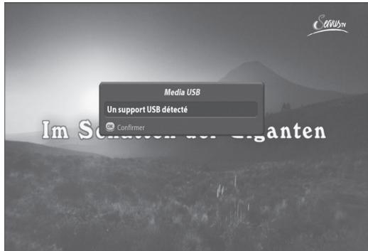 VISIOSAT TNT 5050 TNTSAT - Utilisation d'une clé USB - 2