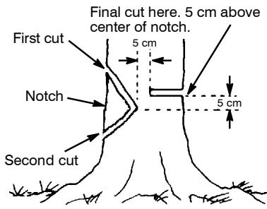 MCCULLOCH CS 420T Tronçonneuse - NOTCH CUT AND FELLING THE TREE - 1