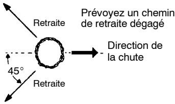 MCCULLOCH CS 420T Tronçonneuse - AVERTISSEMENT: - 1