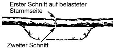 MCCULLOCH CS 420T Tronçonneuse - VERSCHIEDENE SCHNITTE ZUR STAMMZERTEILUNG - 3