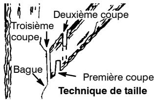 MCCULLOCH CS 420T Tronçonneuse - TAILLE - 1