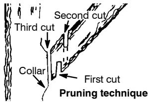 MCCULLOCH CS 420T Tronçonneuse - PRUNING - 1