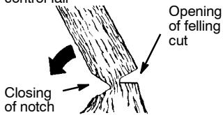 MCCULLOCH CS 420T Tronçonneuse - NOTCH CUT AND FELLING THE TREE - 2