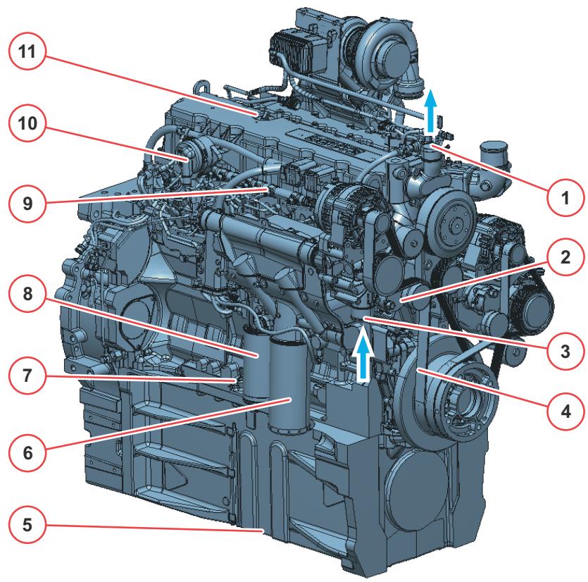 AMAZONE TCD 7.8 L6 - Illustrations de moteur - 1