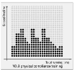 CARE FITNESS 24km/h - CARE - ZEPHYR - P4:Programme d'entrainment ciblé - 15