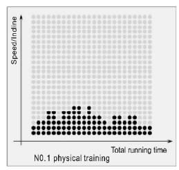 CARE FITNESS 25km/h - CARE - CLUB RUNNER - Program Matrix graphics and body mass index reference table Custom program graphics - 1