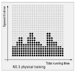 CARE FITNESS 25km/h - CARE - CLUB RUNNER - 5