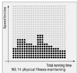 CARE FITNESS 25km/h - CARE - CLUB RUNNER - Program Matrix graphics and body mass index reference table Custom program graphics - 14