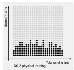 CARE FITNESS 25km/h - CARE - CLUB RUNNER - Program Matrix graphics and body mass index reference table Custom program graphics - 2