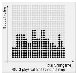 CARE FITNESS 25km/h - CARE - CLUB RUNNER - Program Matrix graphics and body mass index reference table Custom program graphics - 13