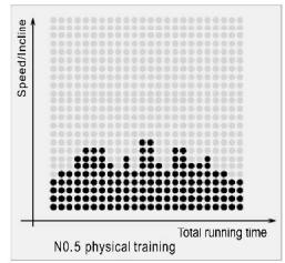 CARE FITNESS 25km/h - CARE - CLUB RUNNER - Program Matrix graphics and body mass index reference table Custom program graphics - 5