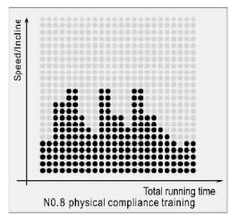 CARE FITNESS 25km/h - CARE - CLUB RUNNER - Program Matrix graphics and body mass index reference table Custom program graphics - 8