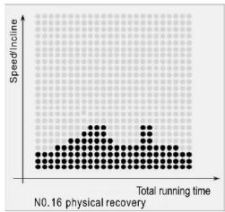 CARE FITNESS 25km/h - CARE - CLUB RUNNER - Program Matrix graphics and body mass index reference table Custom program graphics - 16