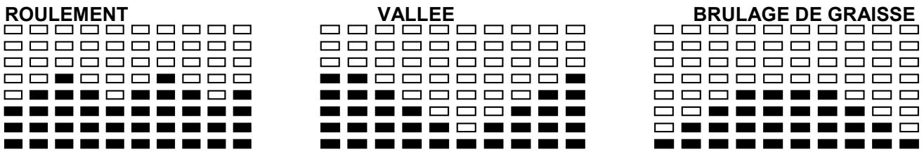 CARE FITNESS CV-375 - PROFILES DE PROGRAMME PREREGLES : - 2