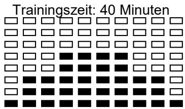 CARE FITNESS CV-385 - Technische Daten des gegenwärftigen Adapters - 29