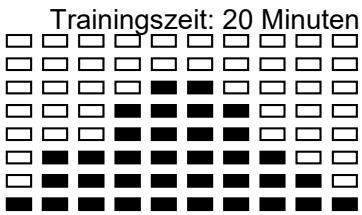 CARE FITNESS CV-385 - Technische Daten des gegenwärftigen Adapters - 30