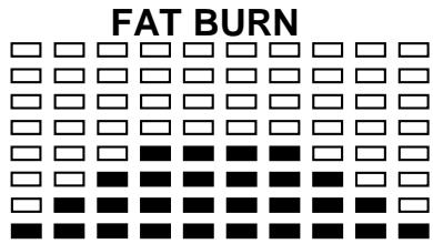 CARE FITNESS Med-528-3 - PRESET PROGRAM PROFILES: - 13