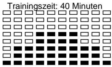 CARE FITNESS CV-395 - Technische Daten des gegenwärftigen Adapters - 8