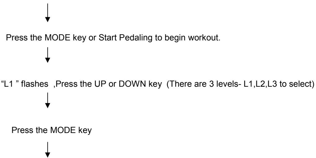 CARE FITNESS ERGOS V - "Climbing" Operating Instructions - 1