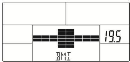 BMI 19.5