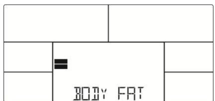 BODY FRT