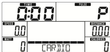 TIME 0:00 PULSE P SPEED 0.0 DISTANCE 0.00 WATT 0 CARBOO CALORIES 0