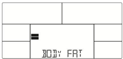 BODY FAT