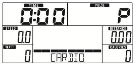 TIME 0:00 PULSE P SPEED 0.0 WATT 0 CARIO DISTANCE 0.00 CALORIES 0