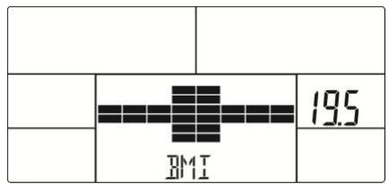 BMT 19.5