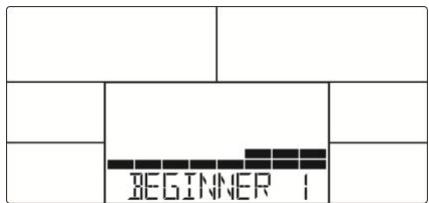 BEGINNER