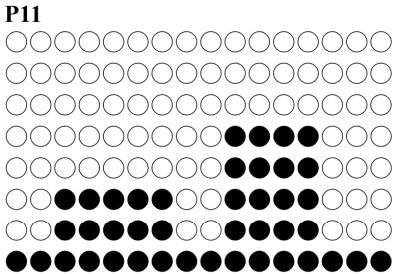 CARE FITNESS ROADSTER - ergomètre - PROGRAM graphs - 12