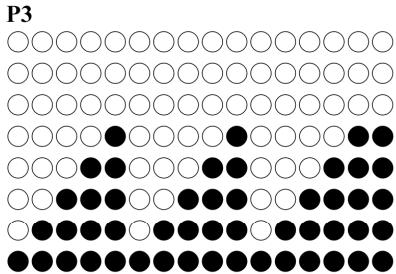 CARE FITNESS ROADSTER - ergomètre - PROGRAM graphs - 4