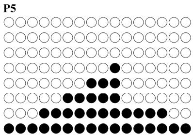 CARE FITNESS ROADSTER - ergomètre - PROGRAM graphs - 6