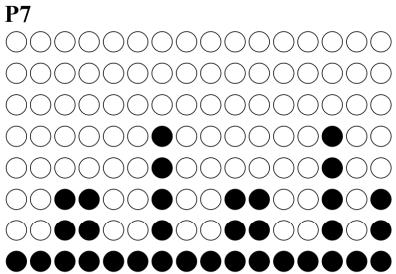 CARE FITNESS ROADSTER - ergomètre - PROGRAM graphs - 8