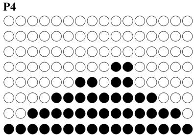 CARE FITNESS ROADSTER - ergomètre - PROGRAM graphs - 5