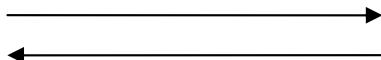 CARE FITNESS CE-602 - 2) A work phase: - 28