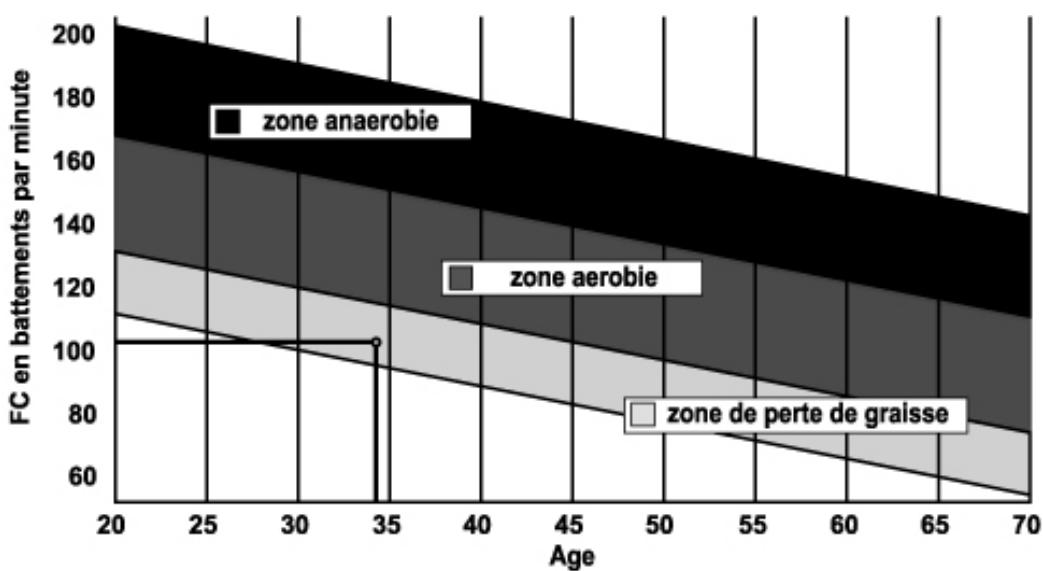 CARE FITNESS ACTIVA 21 programmes - Schematische Darstellung der - 1