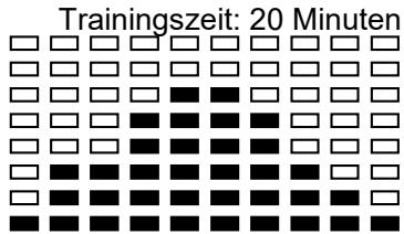 CARE FITNESS CE-685 - Technische Daten des gegenwärtingen Adapters - 17