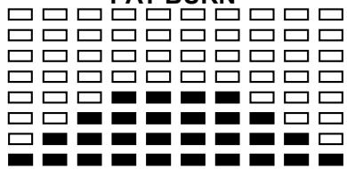 CARE FITNESS CE-695 - FAT BURN - 1