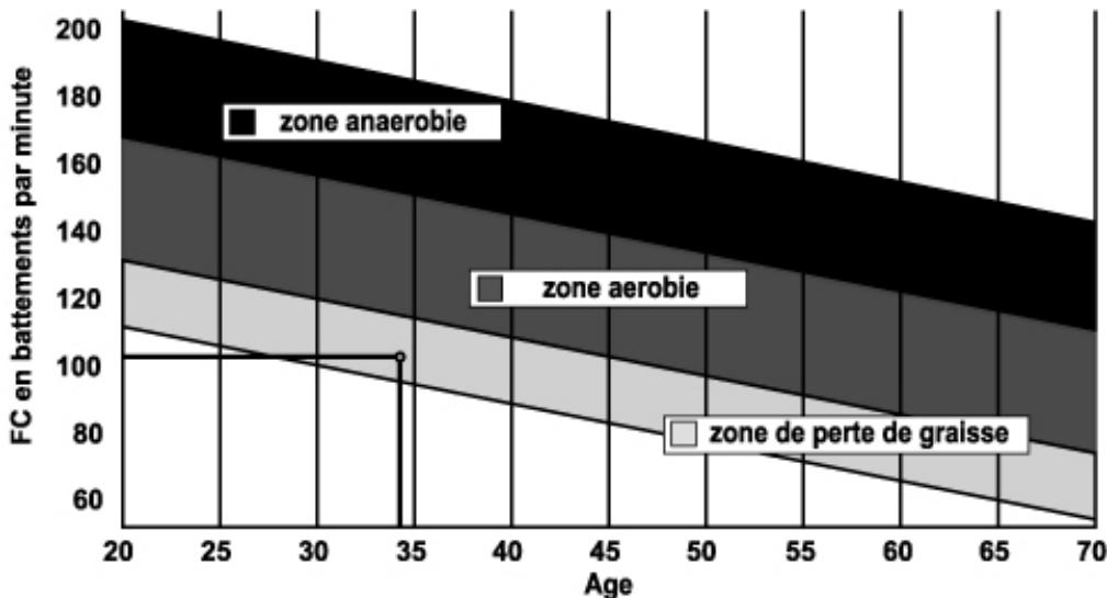 CARE FITNESS ELLIPTER FD LED auto-alimenté - CARE - ergomètre connecté - Schematische Darstellung der - 1