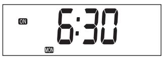 ZIBRO LC-135 - D WEEKLY TIMER - 6