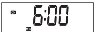 ZIBRO LC-135 - PROGRAMMAZIONE DEL WEEKLY TIMER - 5